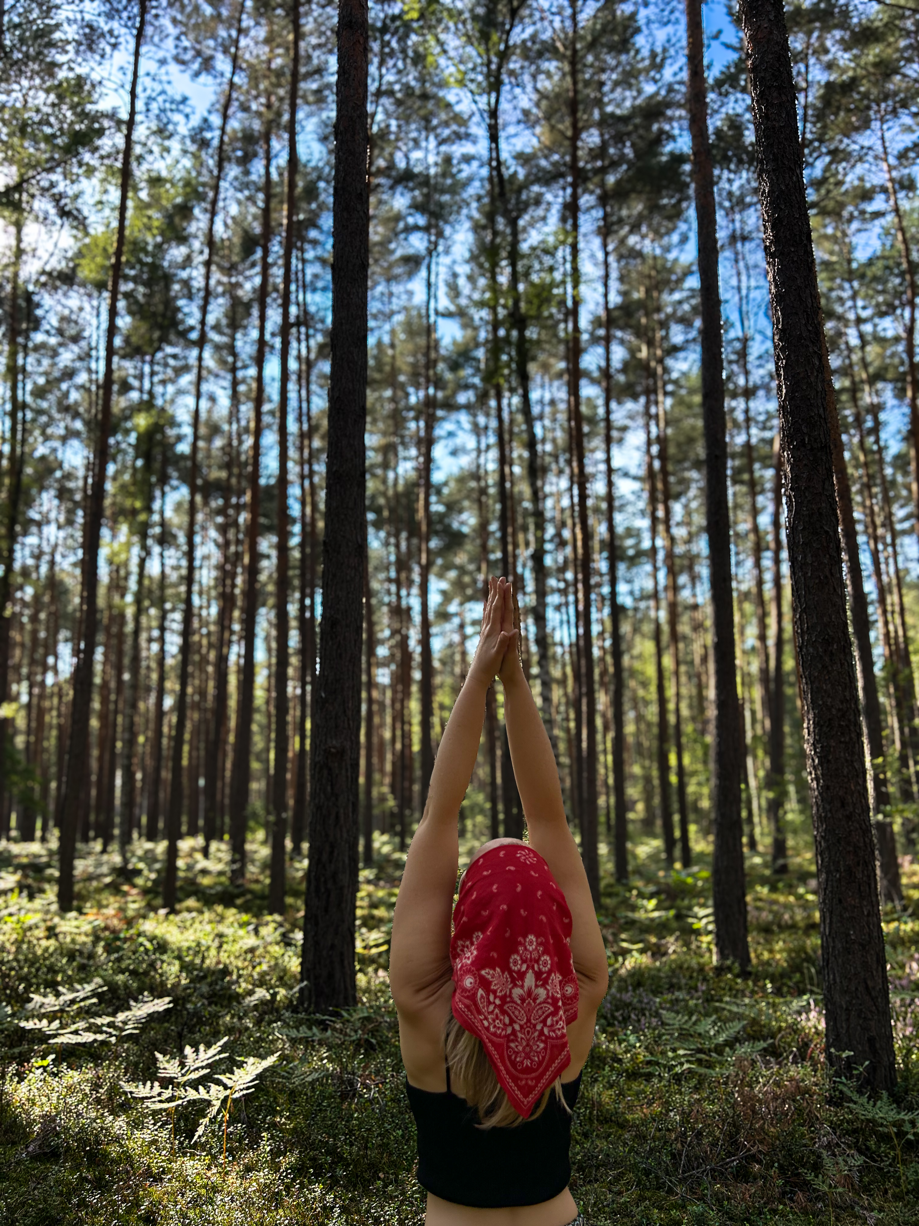 Uważna praktyka jogi w lesie - Tadasana